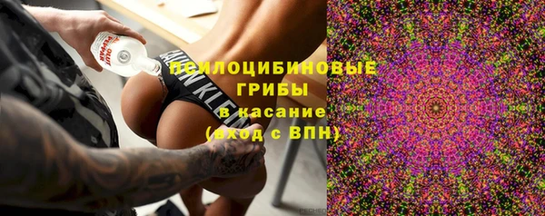 тгк Абинск