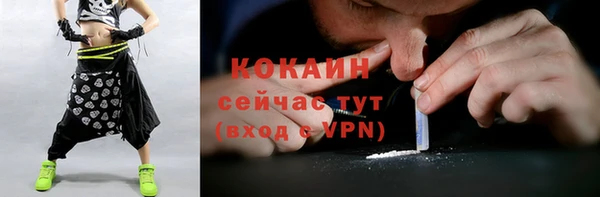 МДПВ Абаза