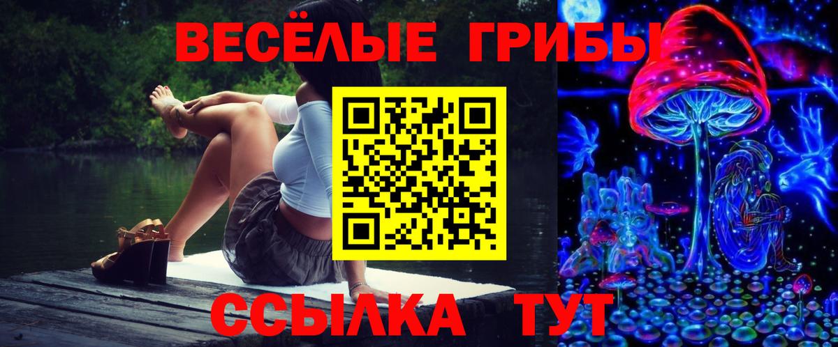 Карасук  Галлюциногенные грибы мухоморы  Вход с VPN 