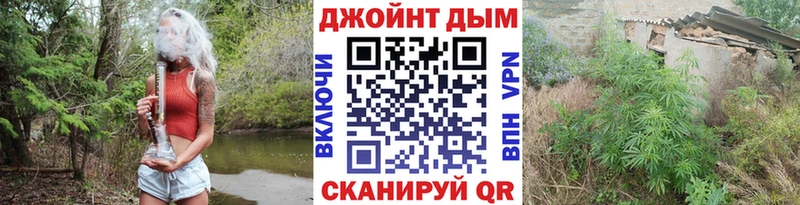 Канабис планчик Карасук