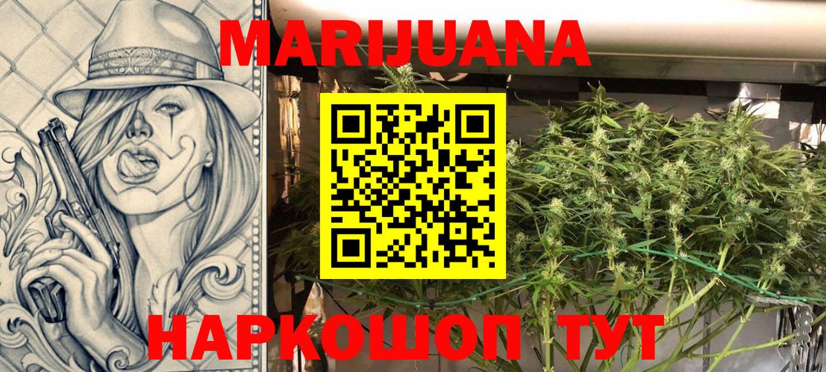 Бошки Шишки семена Карасук